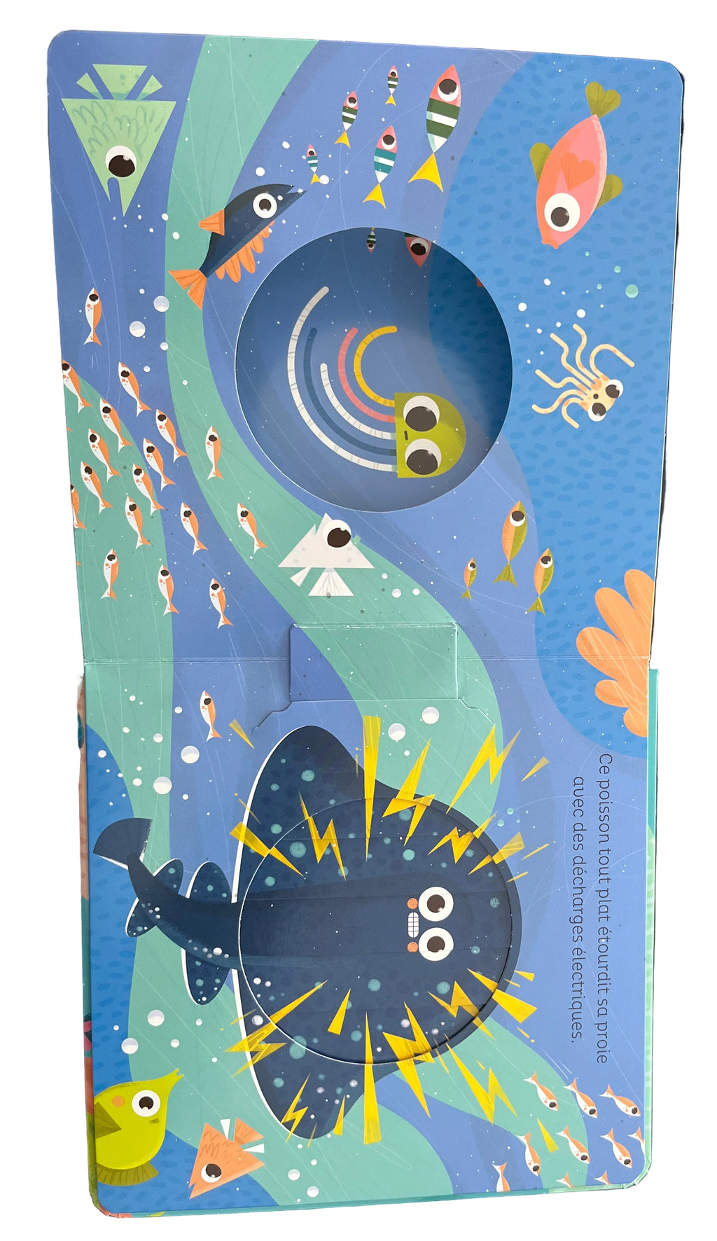 Livre DANS L OCEAN