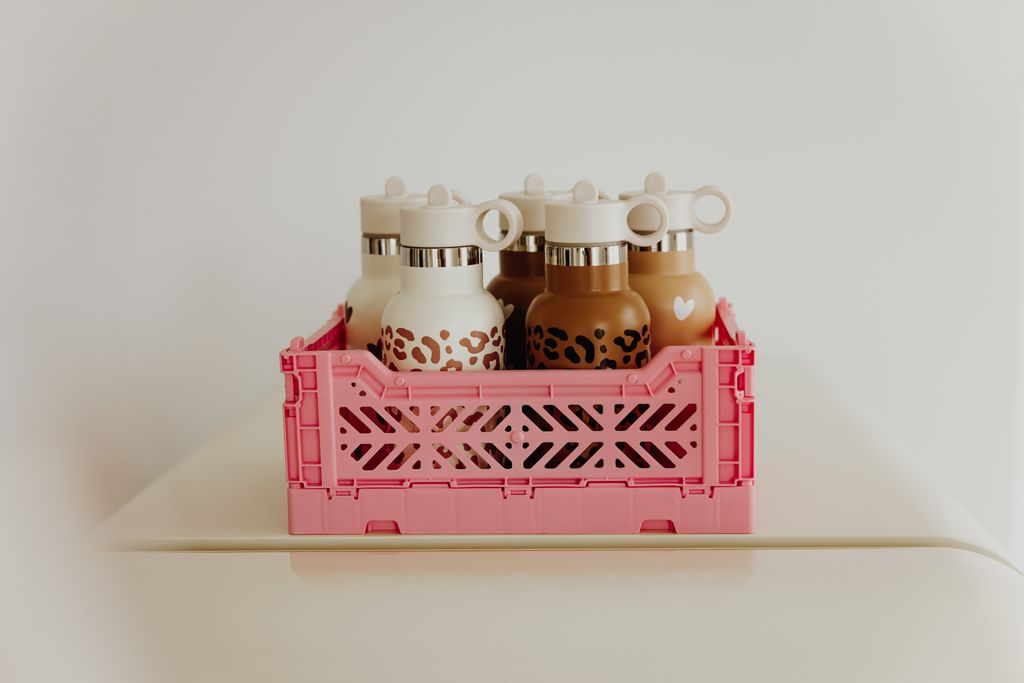 Gourde acier inox Nougat